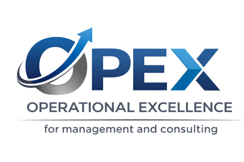 OPEX Consulting